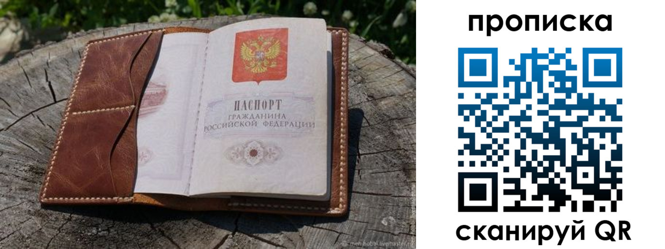 пропишу в квартире в Дальнегорске